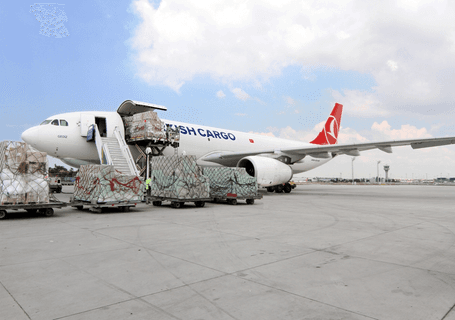 40ft Ocean Freight Shipping From ShenZhen, China to Singapore